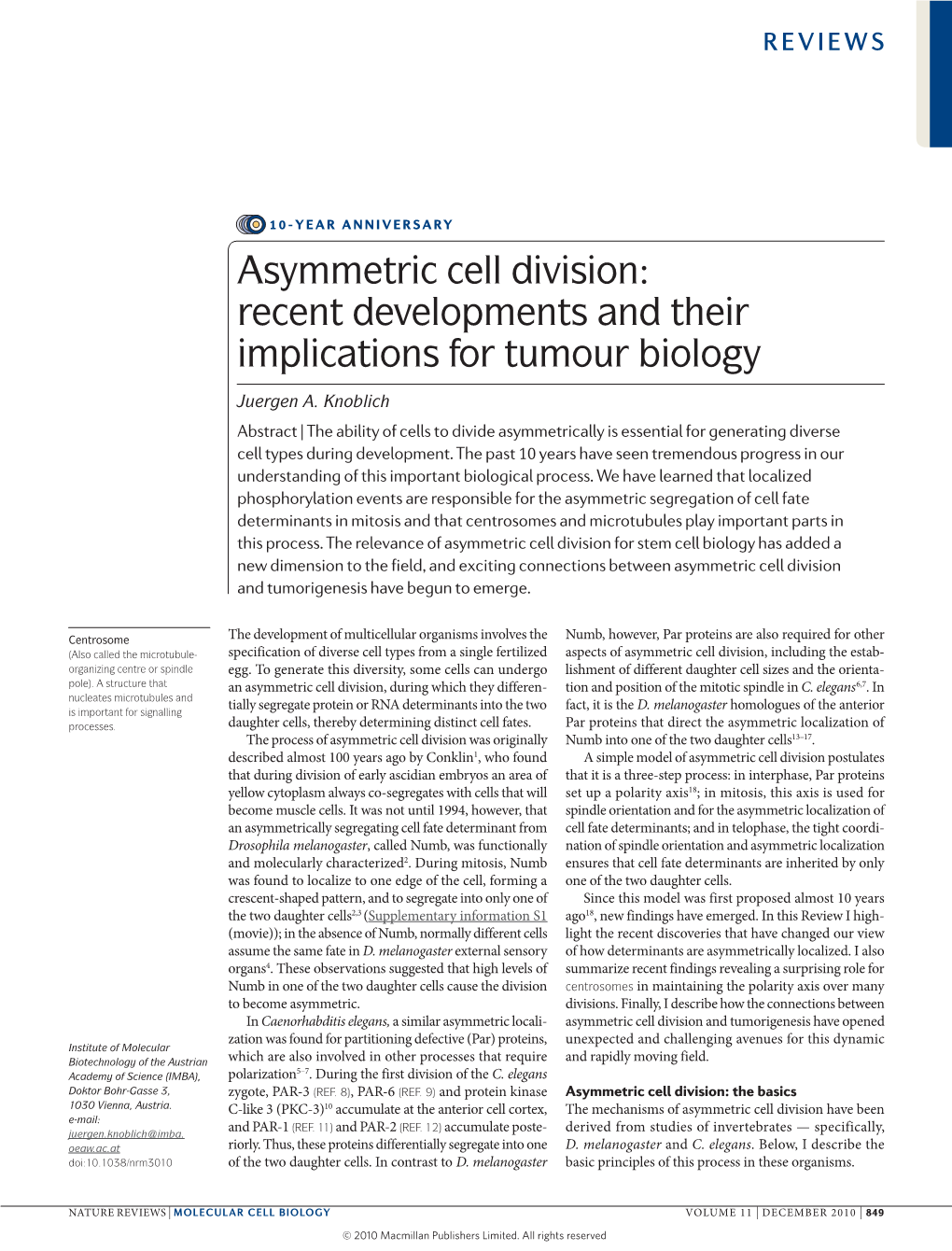 Asymmetric Cell Division: Recent Developments and Their Implications for Tumour Biology