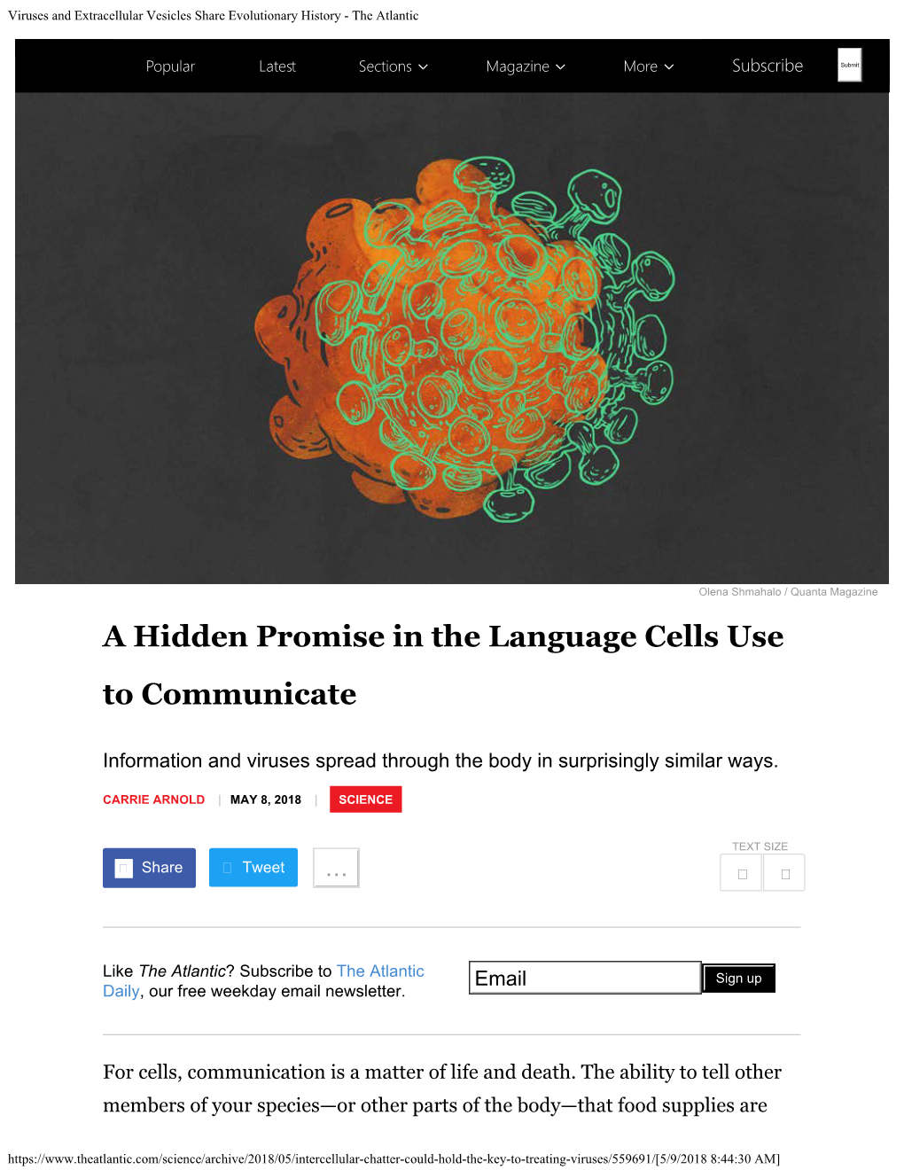 Viruses and Extracellular Vesicles Share Evolutionary History - the Atlantic