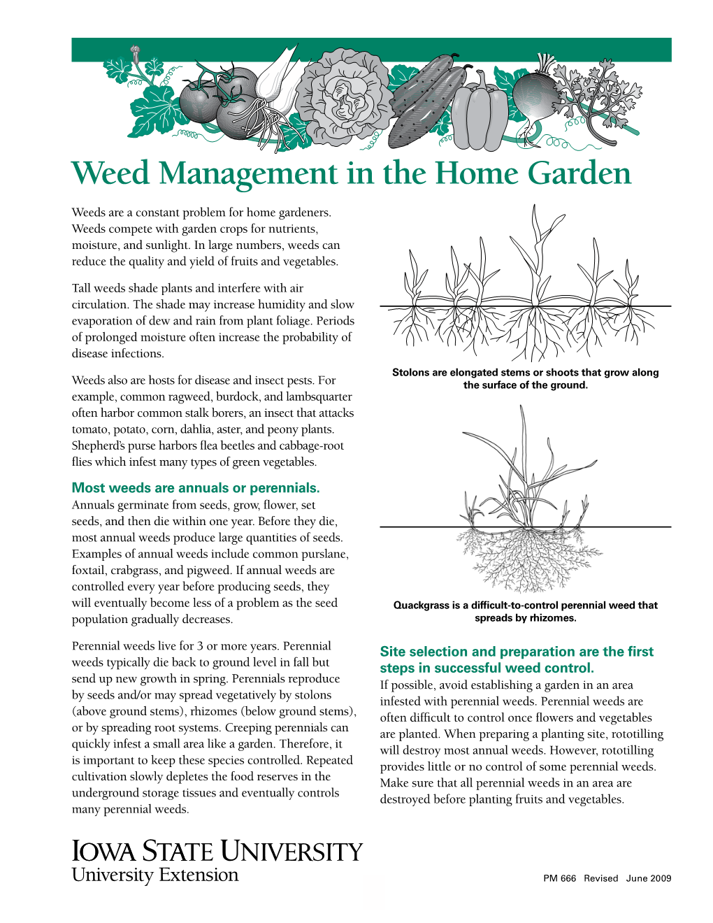 Weed Management in the Home Garden