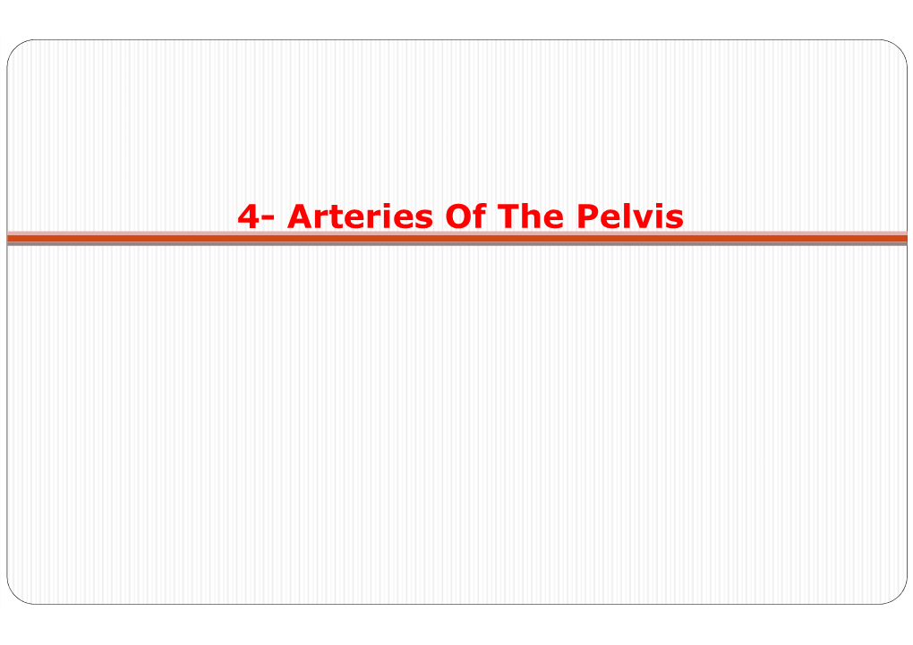 4- Arteries of the Pelvis