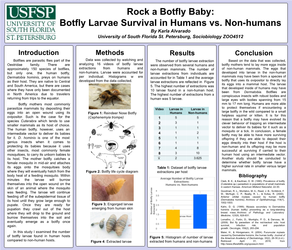 Rock a Botfly Baby:Botfly Larvae Survival in Humans Vs. Non-Humans
