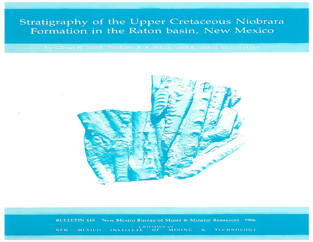 Stratigraphy of the Upper Cretaceous Niobrara Formation in the Raton Basin, New Mexico