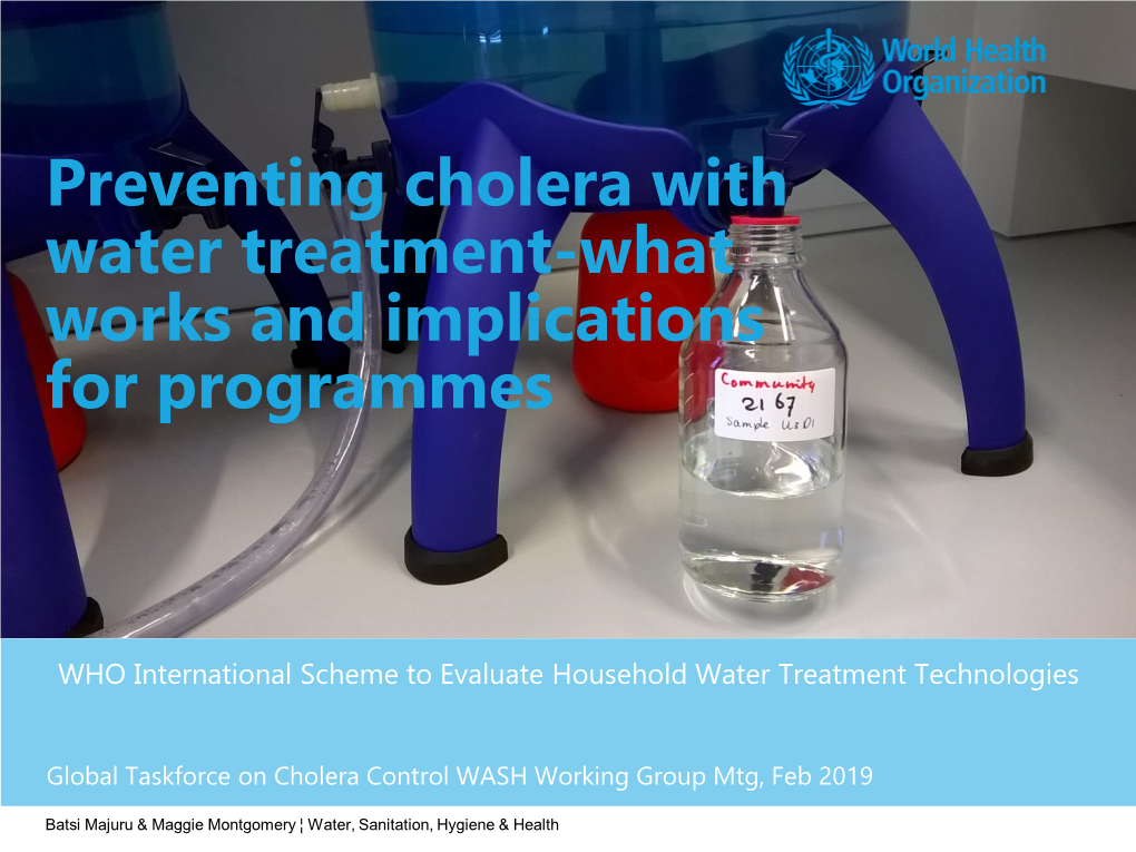 Preventing Cholera with Water Treatment-What Works and Implications for Programmes