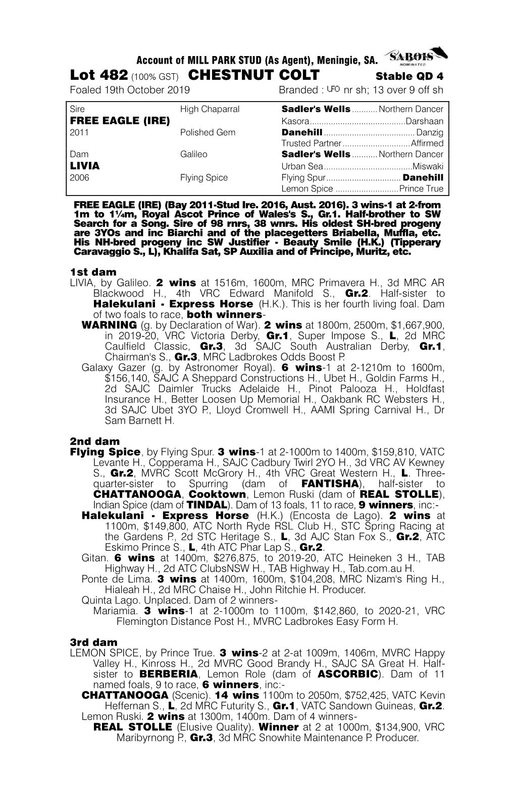 Lot 482 (100% GST) CHESTNUT COLT Stable QD 4 Foaled 19Th October 2019 Branded : Nr Sh; 13 Over 9 Off Sh