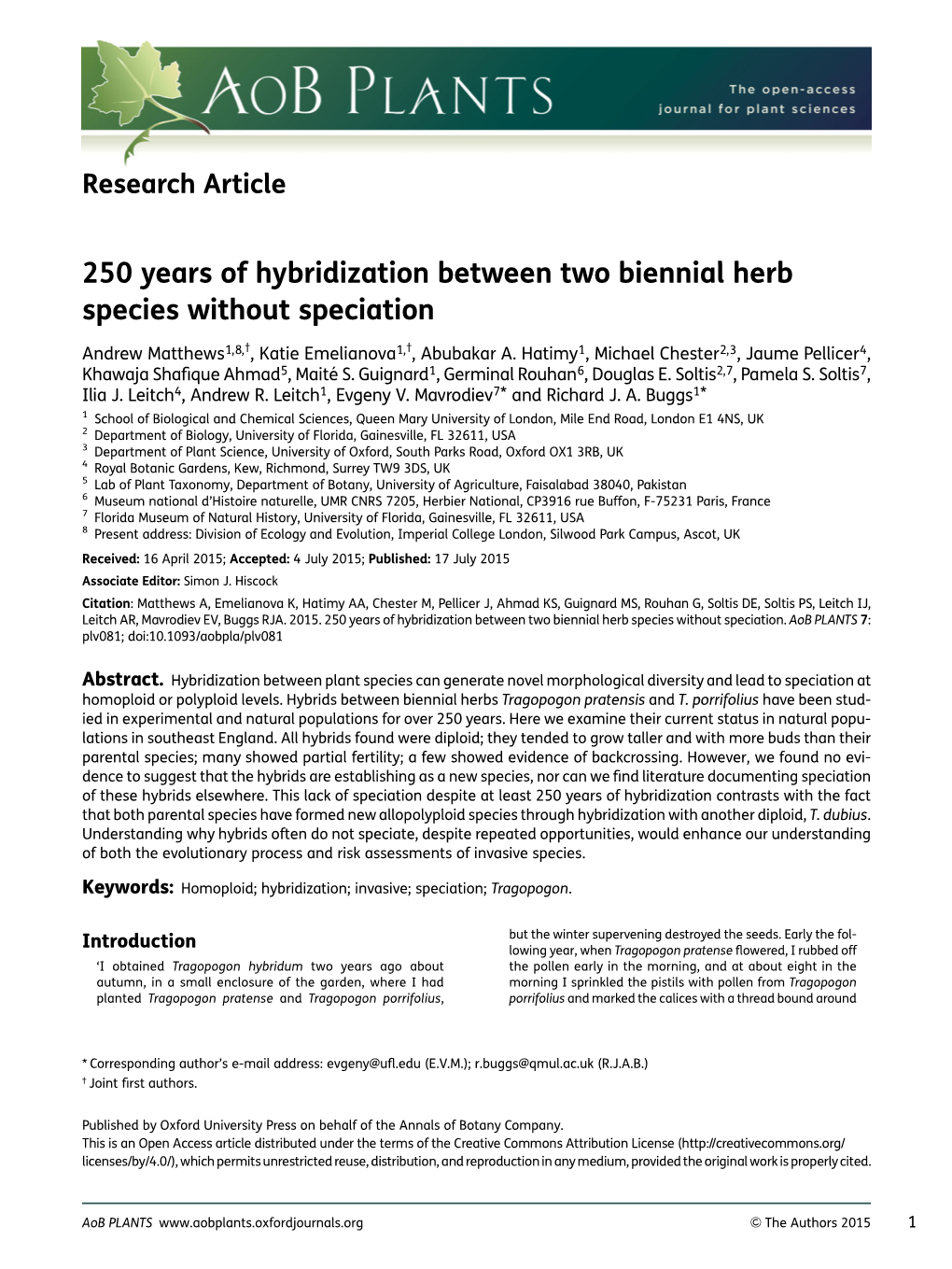 250 Years of Hybridization Between Two Biennial Herb Species Without Speciation