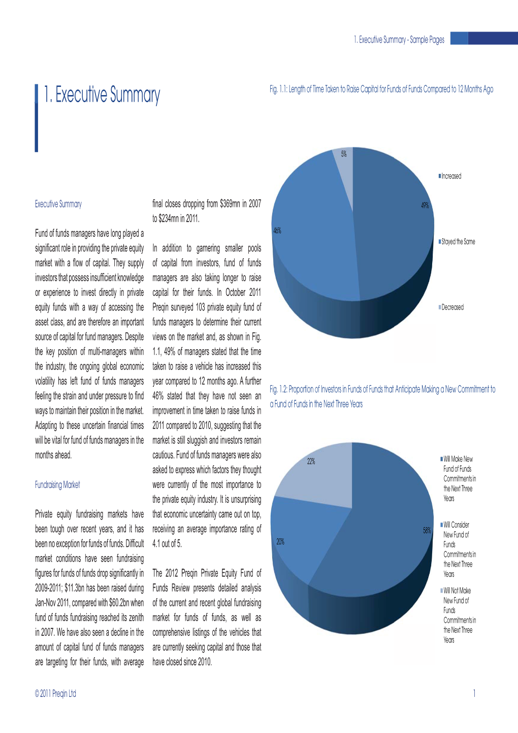 1. Executive Summary - Sample Pages