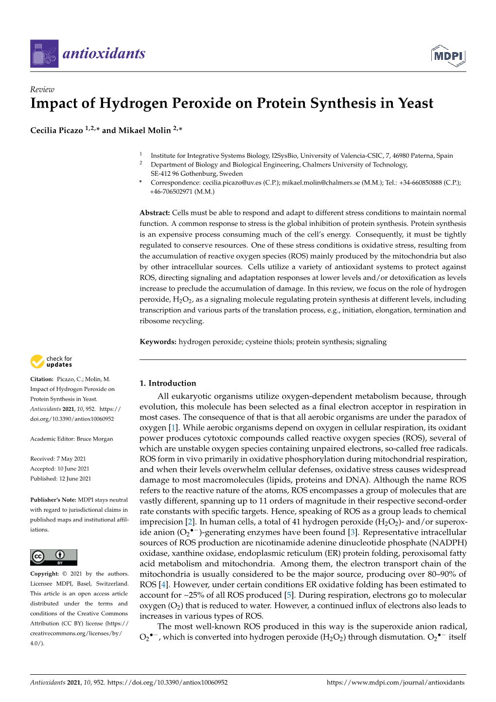 Impact of Hydrogen Peroxide on Protein Synthesis in Yeast