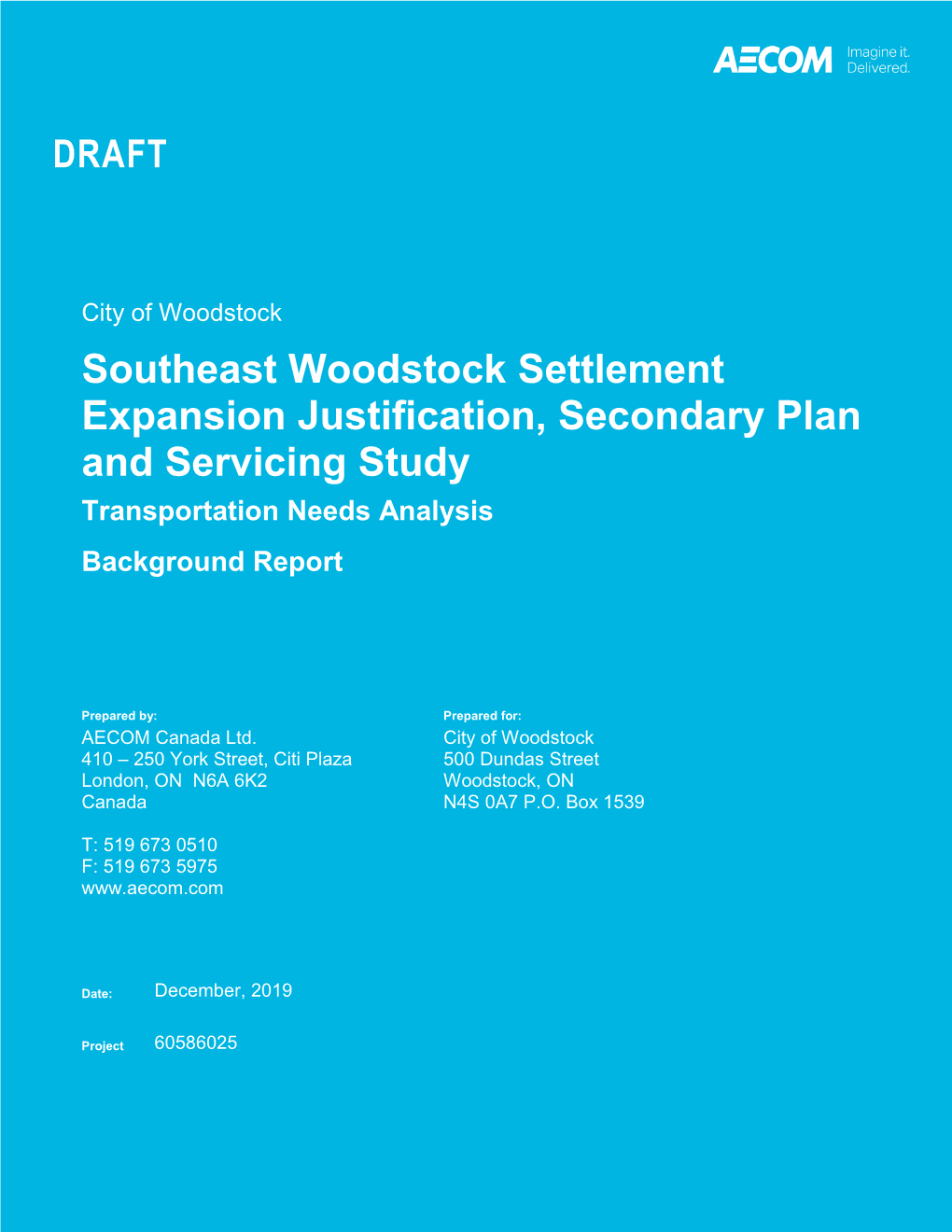 Southeast Woodstock Transportation Needs Analysis