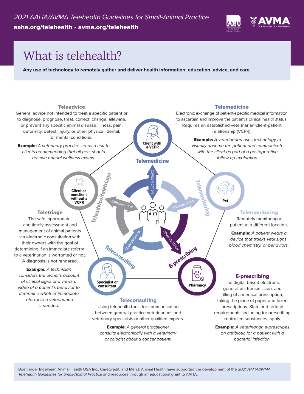 Telehealth in a Small-Animal Practice