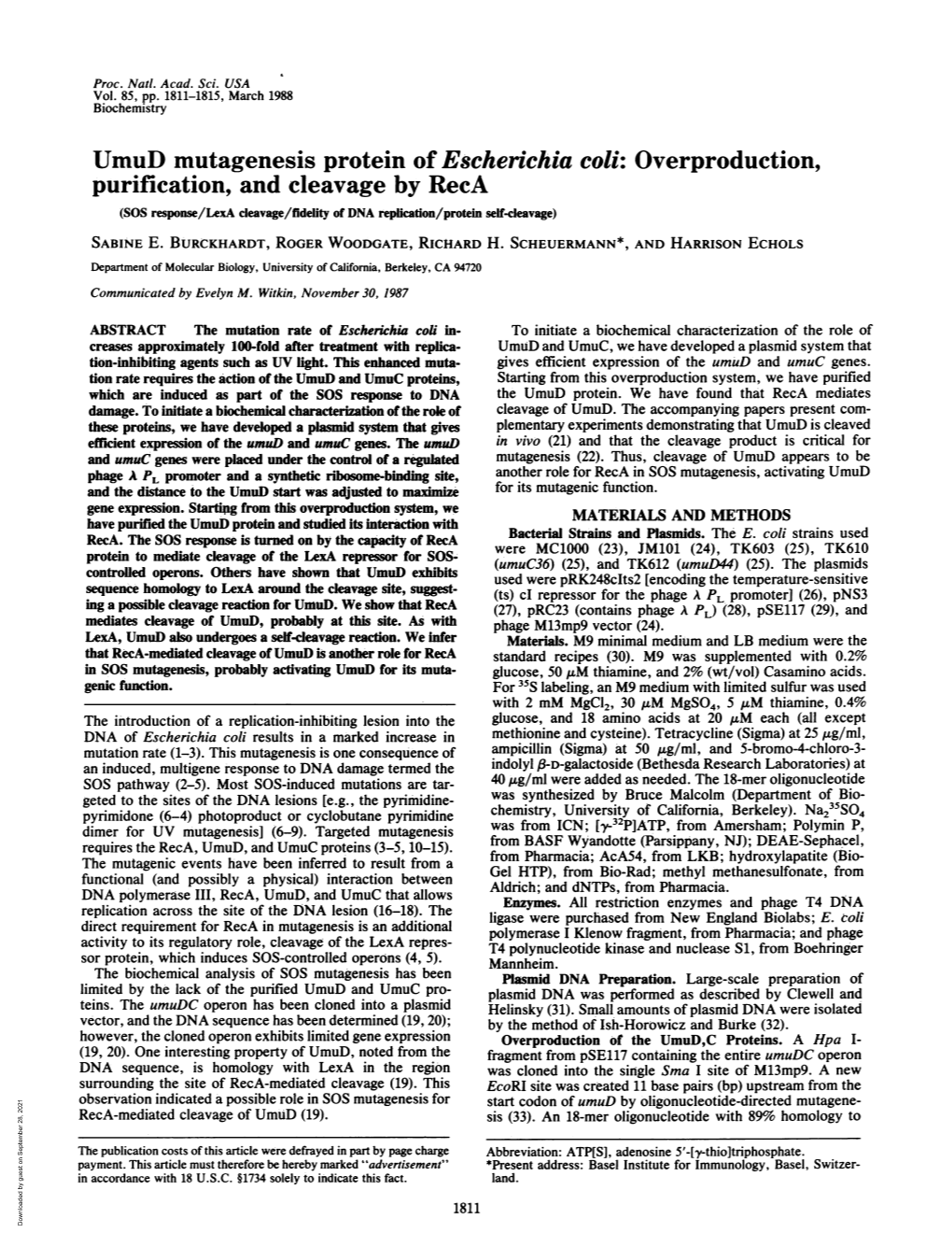 Umud Mutagenesis Protein of Escherichia Coli