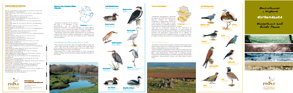 Ecosistemas Y Avifauna De Extremadura