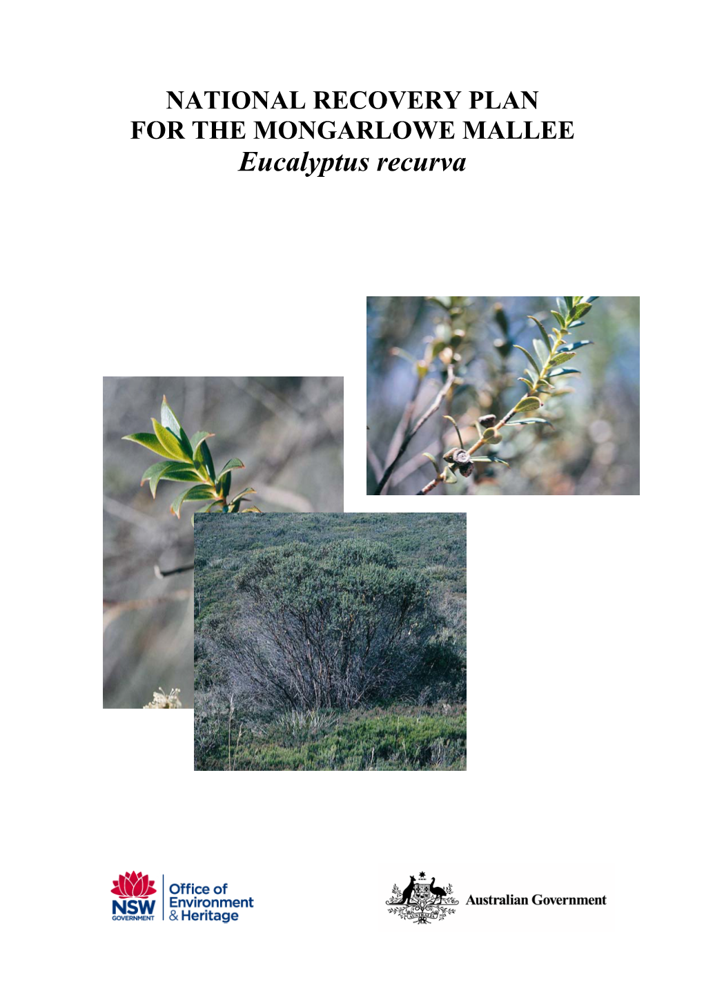 National Recovery Plan for Eucalyptus Recurva, Department of Environment and Climate Change (NSW), Hurstville