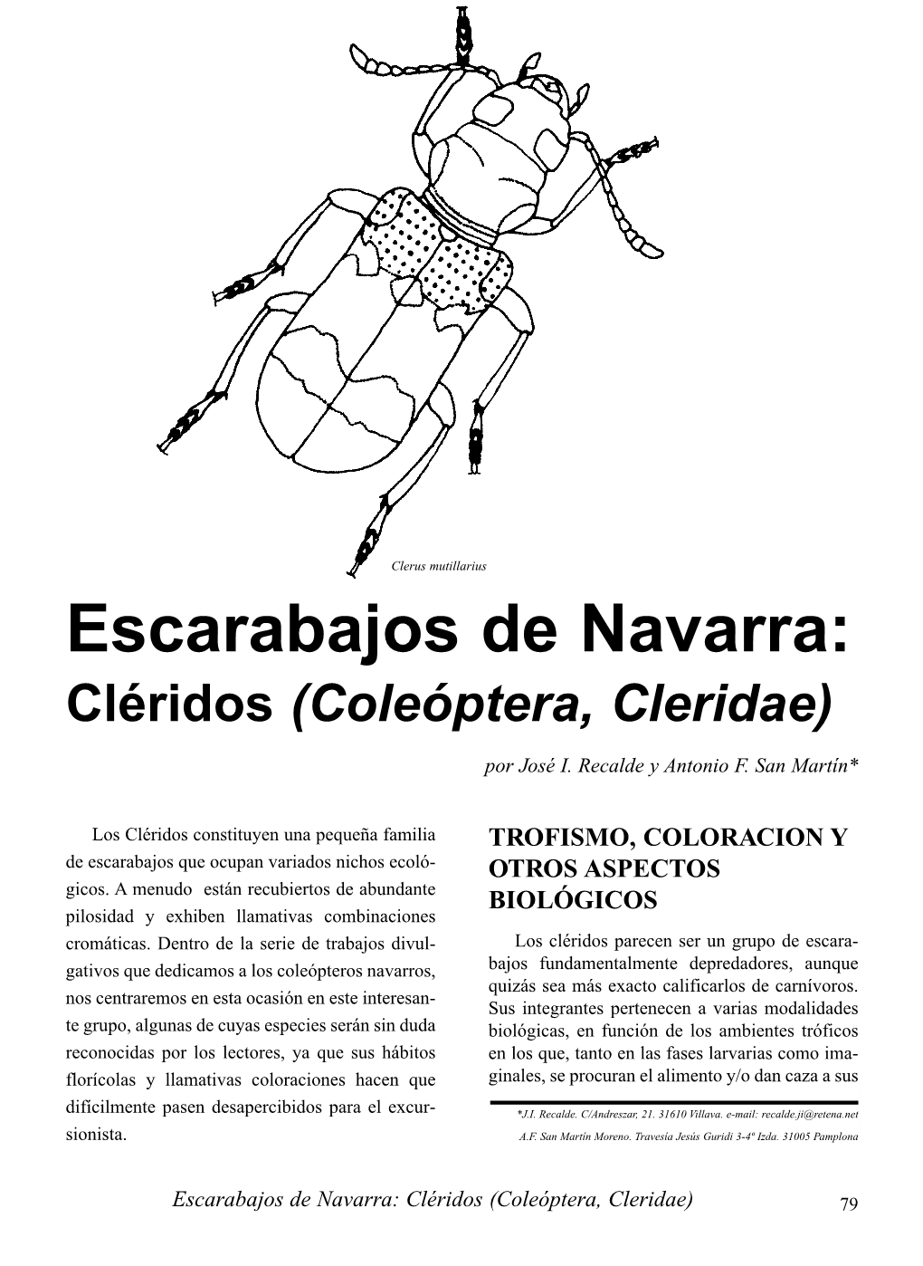Escarabajos De Navarra: Cléridos (Coleopeta, Cleridae)
