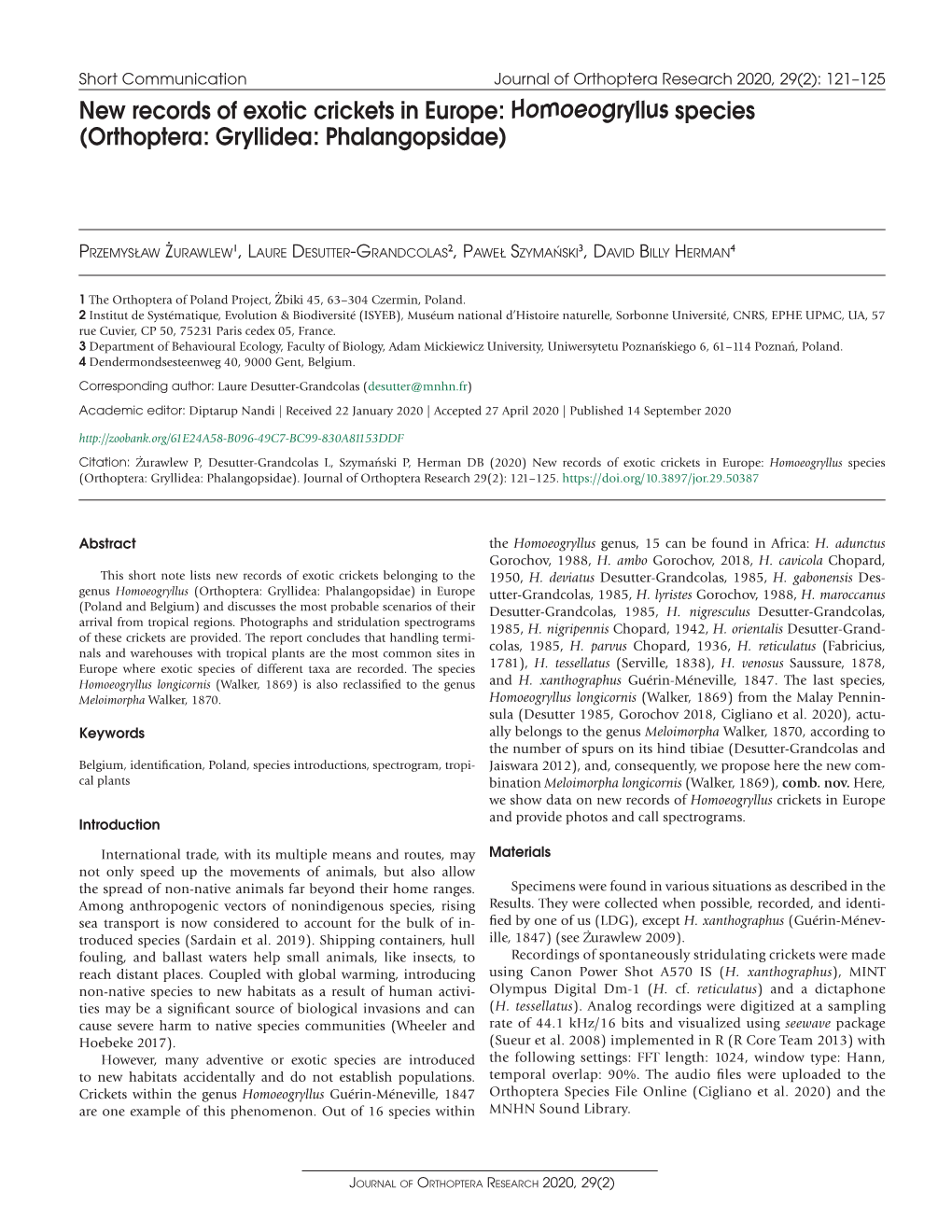 ﻿New Records of Exotic Crickets in Europe: Homoeogryllus Species