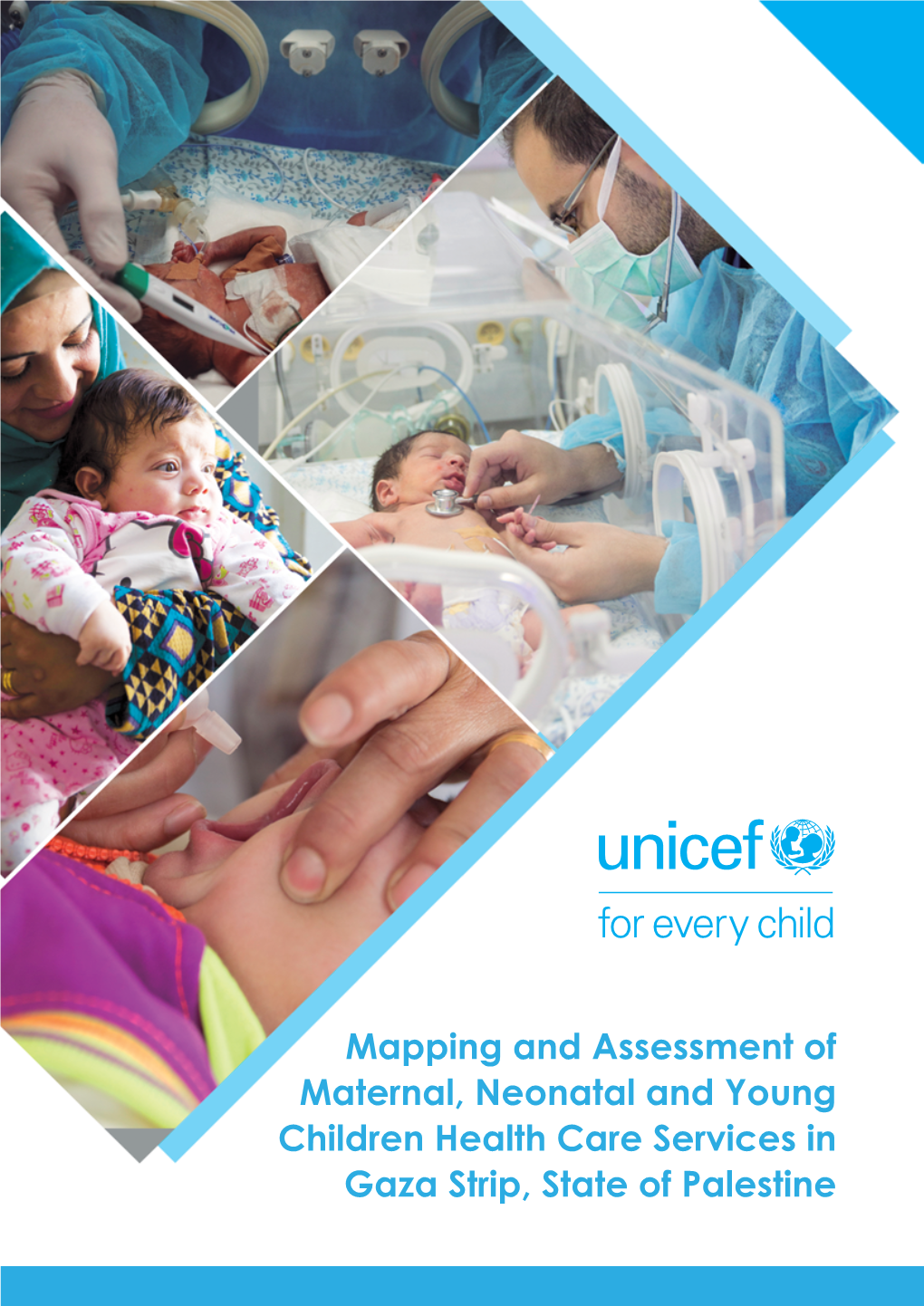 Mapping and Assessment of Maternal, Neonatal and Young Children Health Care Services in Gaza Strip, State of Palestine