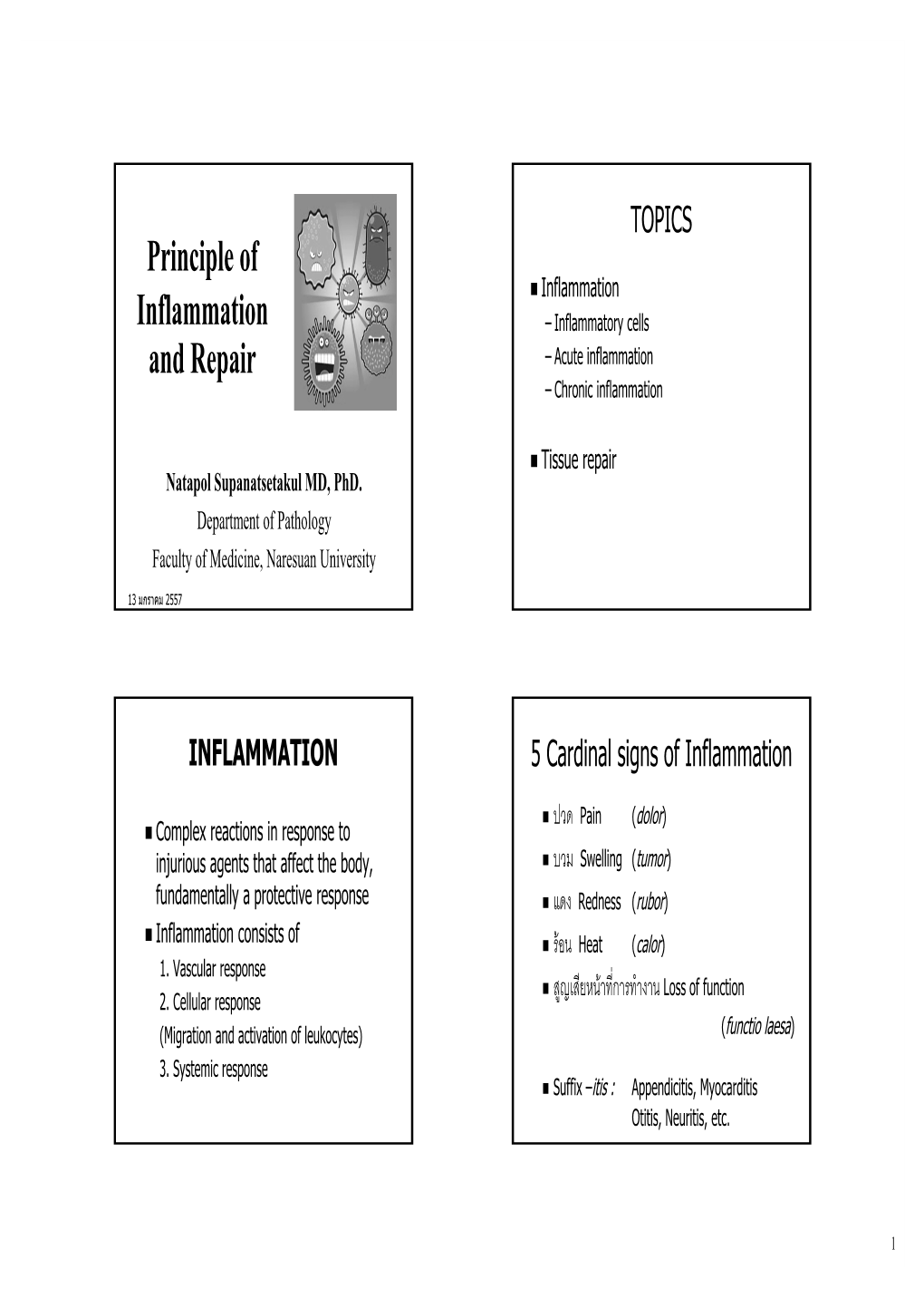 Principle of Inflammation and Repair