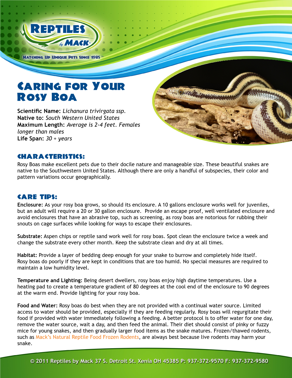 Caring for Your Rosy Boa Scientific Name: Lichanura Trivirgata Ssp