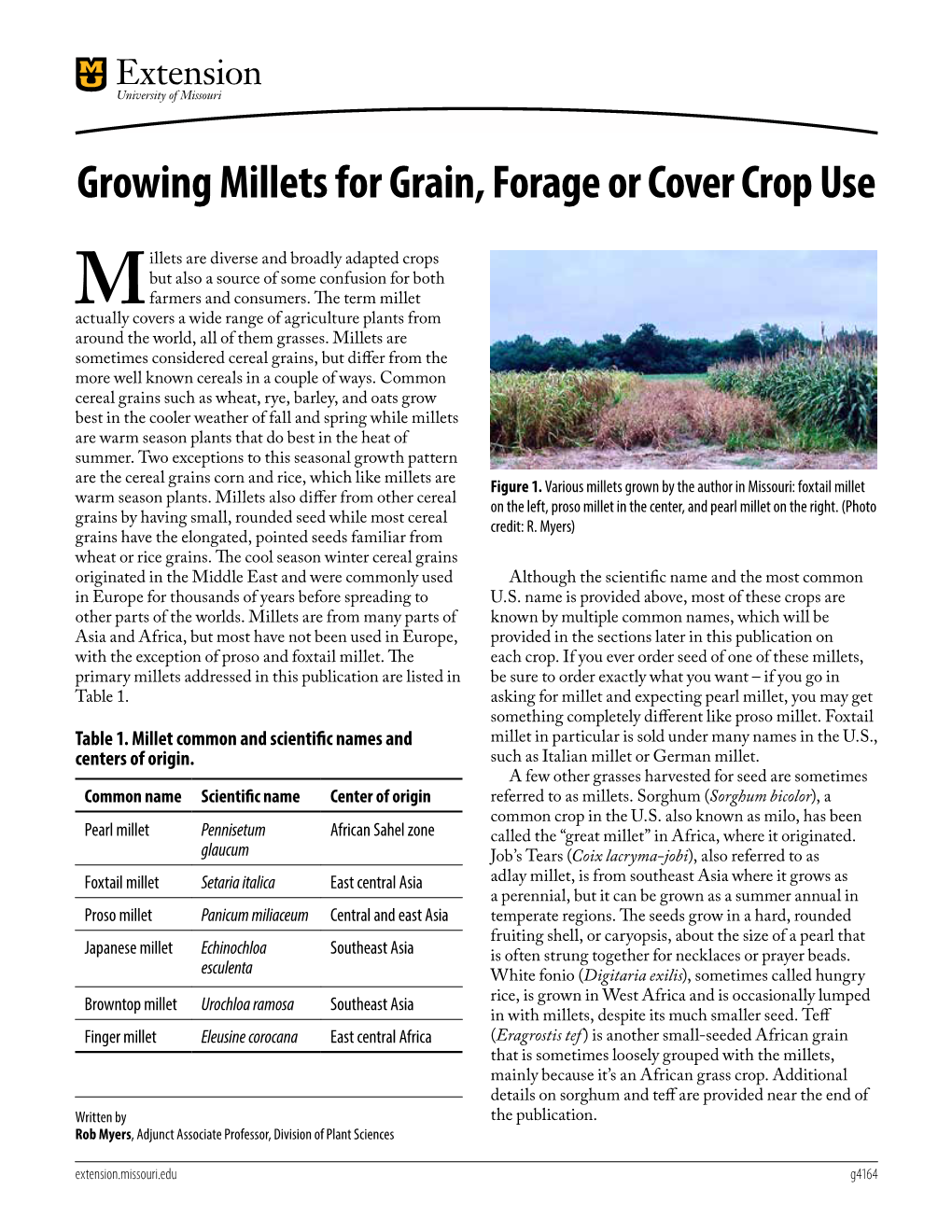 Growing Millets for Grain, Forage Or Cover Crop Use