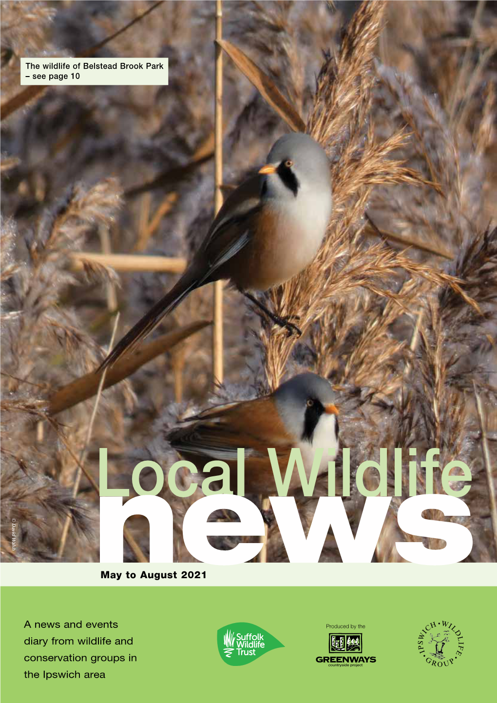 A News and Events Diary from Wildlife and Conservation Groups in the Ipswich Area May to August 2021