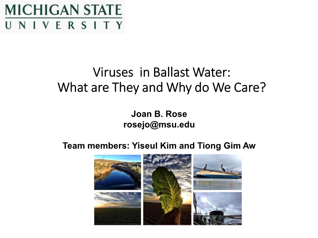 Viruses in Ballast Water: What Are They and Why Do We Care?