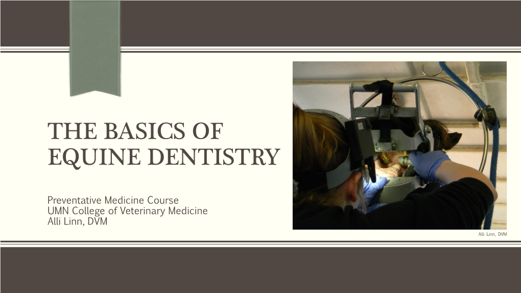 The Basics of Equine Dentistry