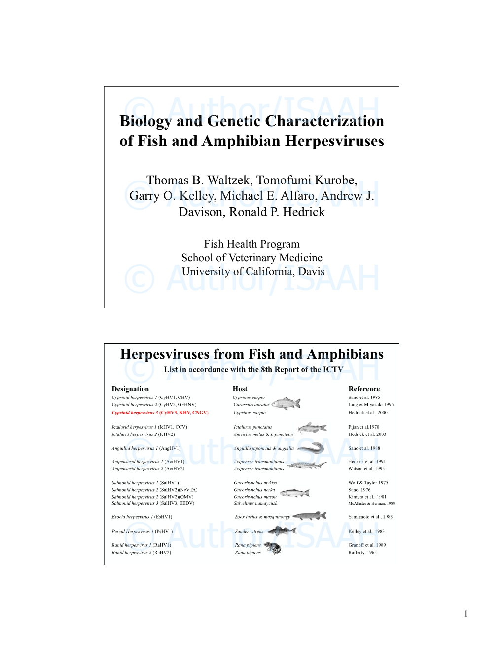 Biology and Genetic Characterization of Fish and Amphibian Herpesviruses