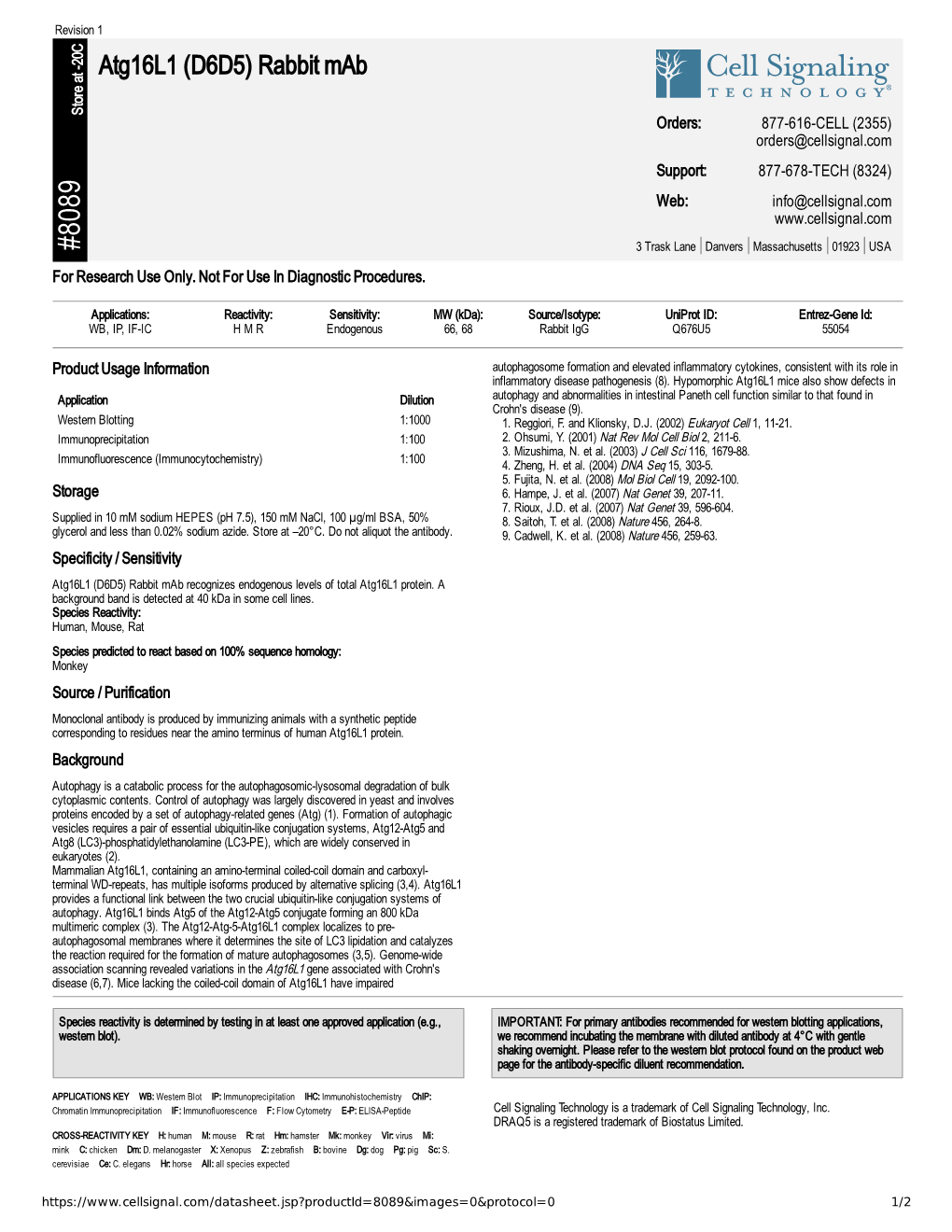 Atg16l1 (D6D5) Rabbit Mab A