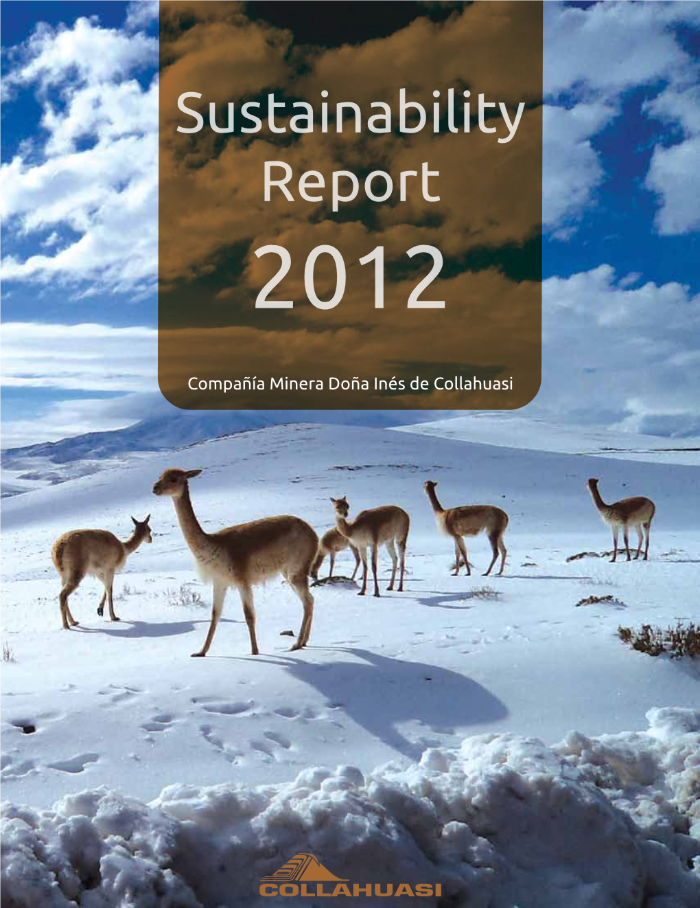 Sustainability Report 2012