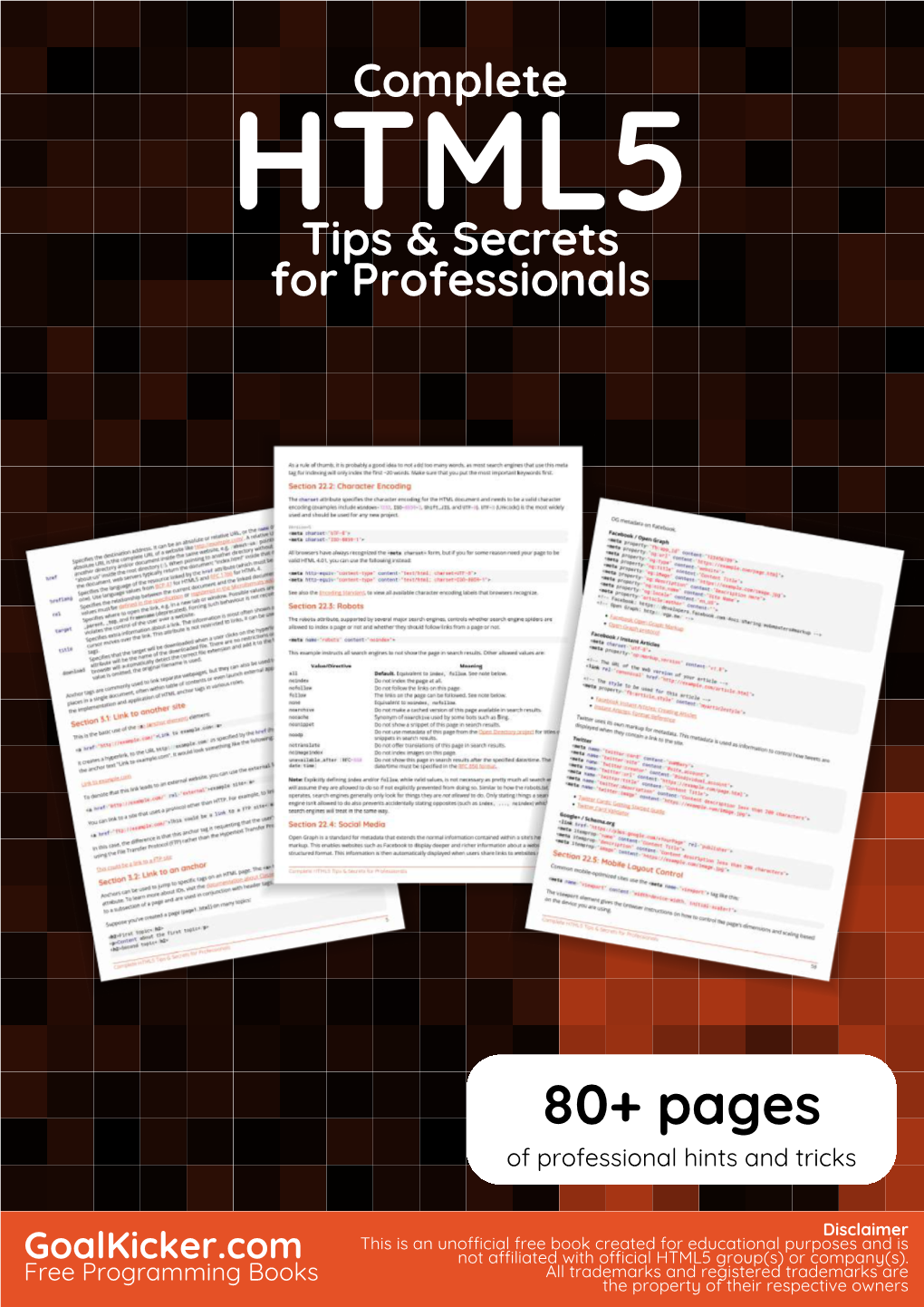 Complete HTML5 Secrets & Tips for Professionals