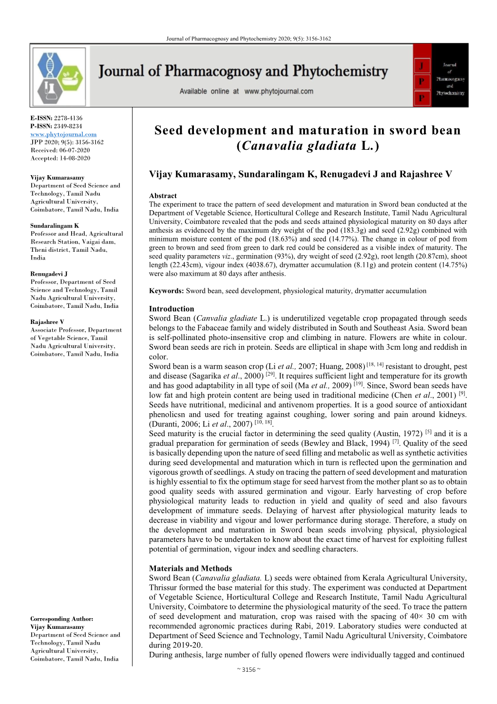 Seed Development and Maturation in Sword Bean (Canavalia Gladiata