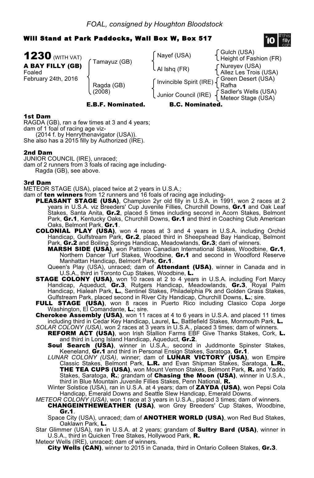 FOAL, Consigned by Houghton Bloodstock