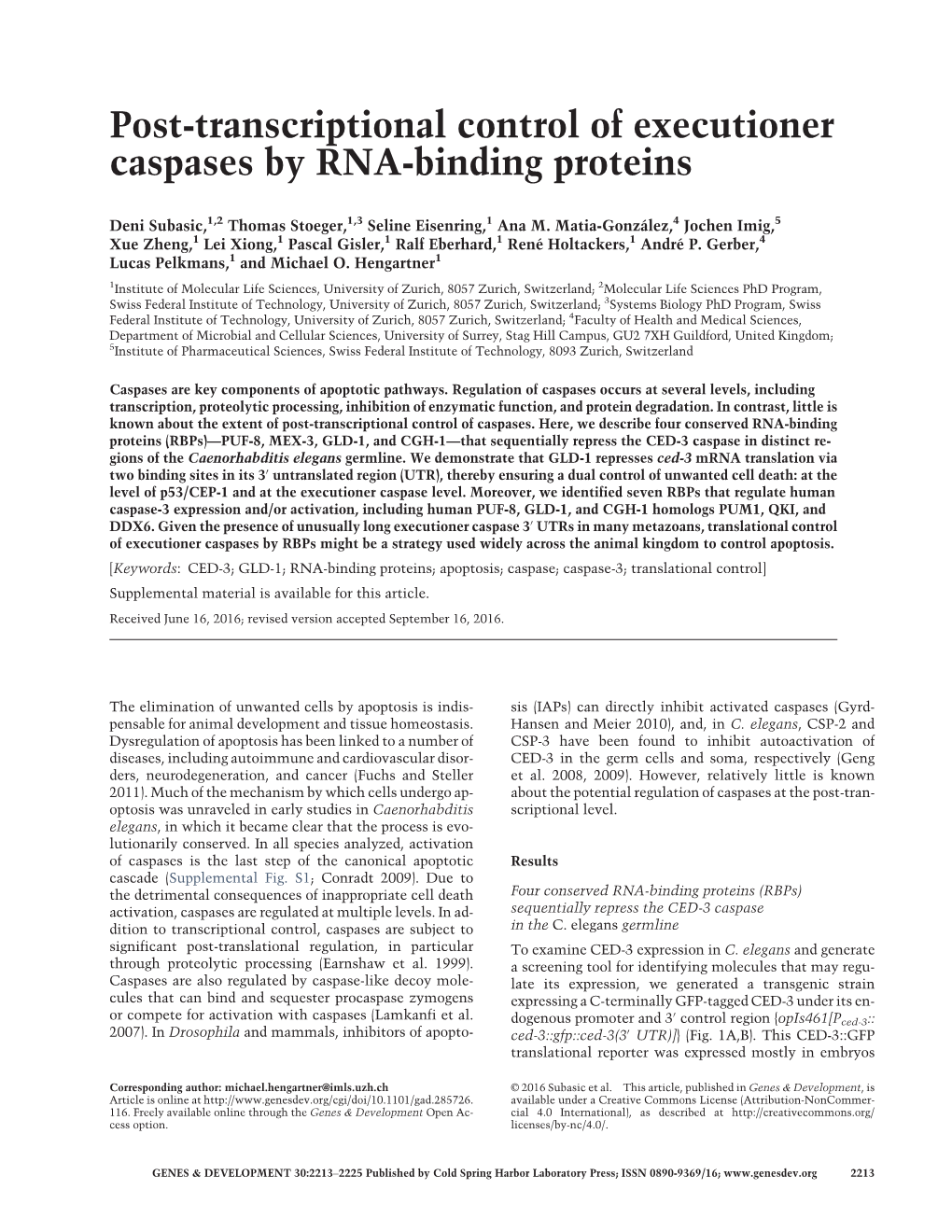 Post-Transcriptional Control of Executioner Caspases by RNA-Binding Proteins