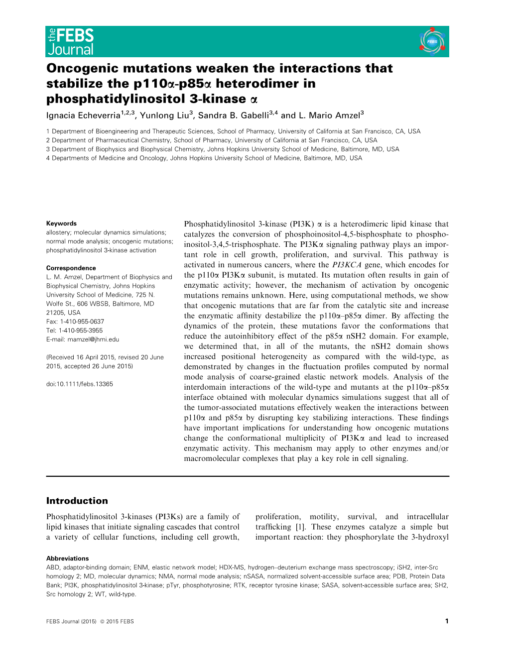 Oncogenic Mutations Weaken the Interactions That Stabilize the P110&