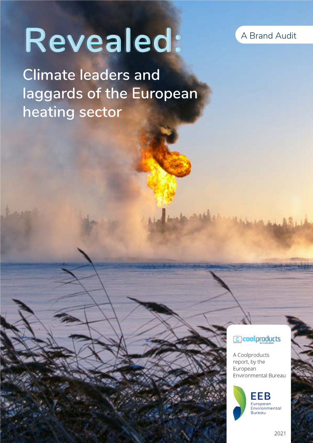 Revealed:Revealed: a Brand Audit Climate Leaders and Laggards of the European Heating Sector
