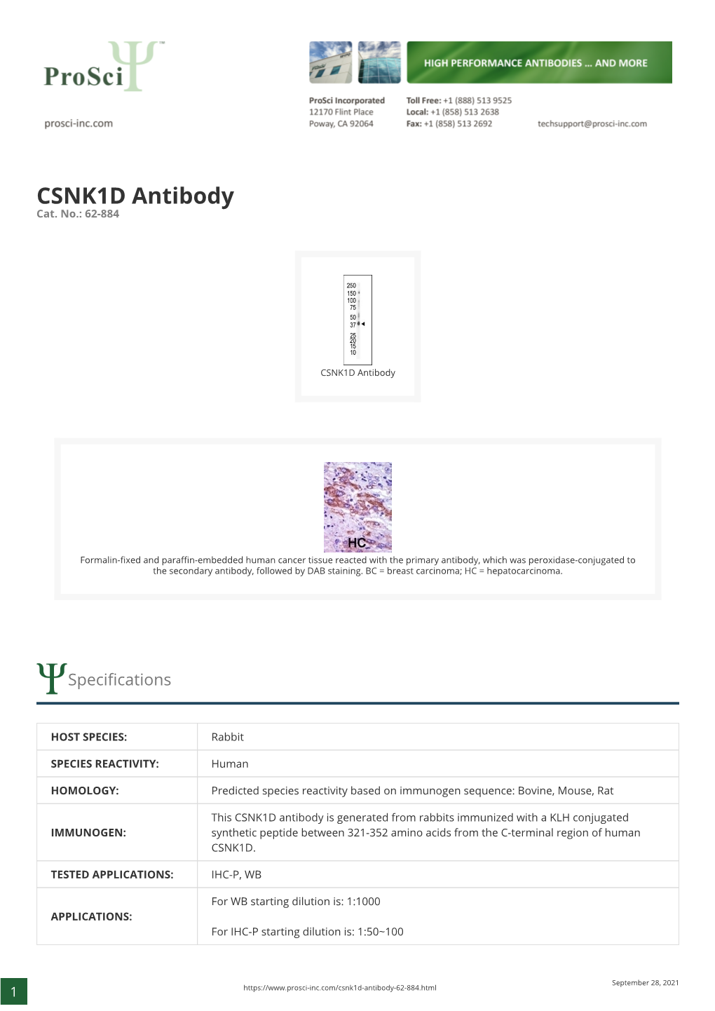 CSNK1D Antibody Cat