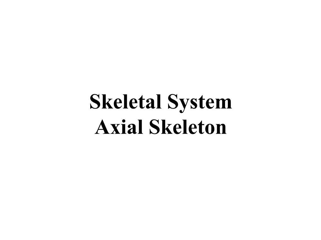 Skeletal System Axial Skeleton Introduction