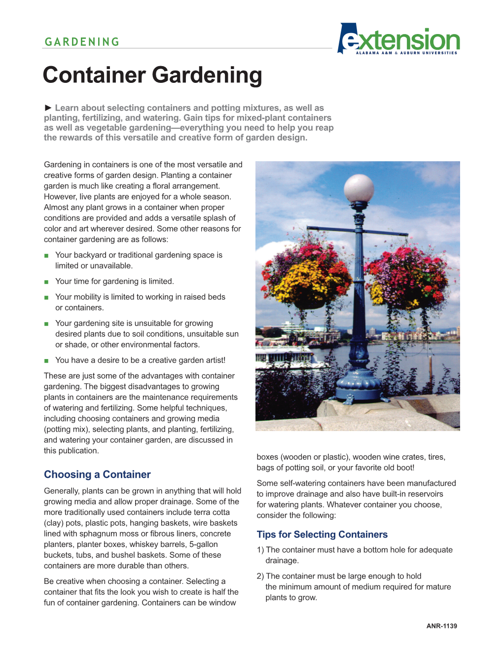 Container Gardening