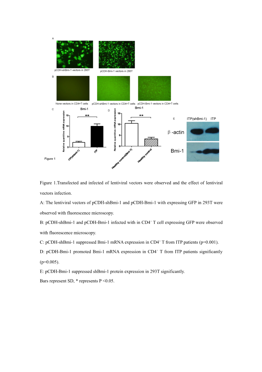 C: Pcdh-Shbmi-1 Suppressed Bmi-1 Mrna Expression in CD4+ T from ITP Patients (P=0.001)