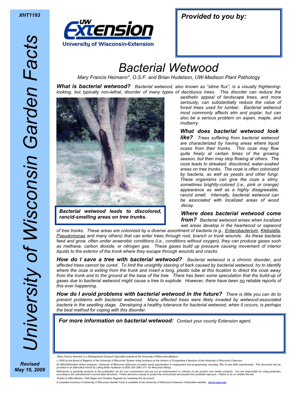 Bacterial Wetwood