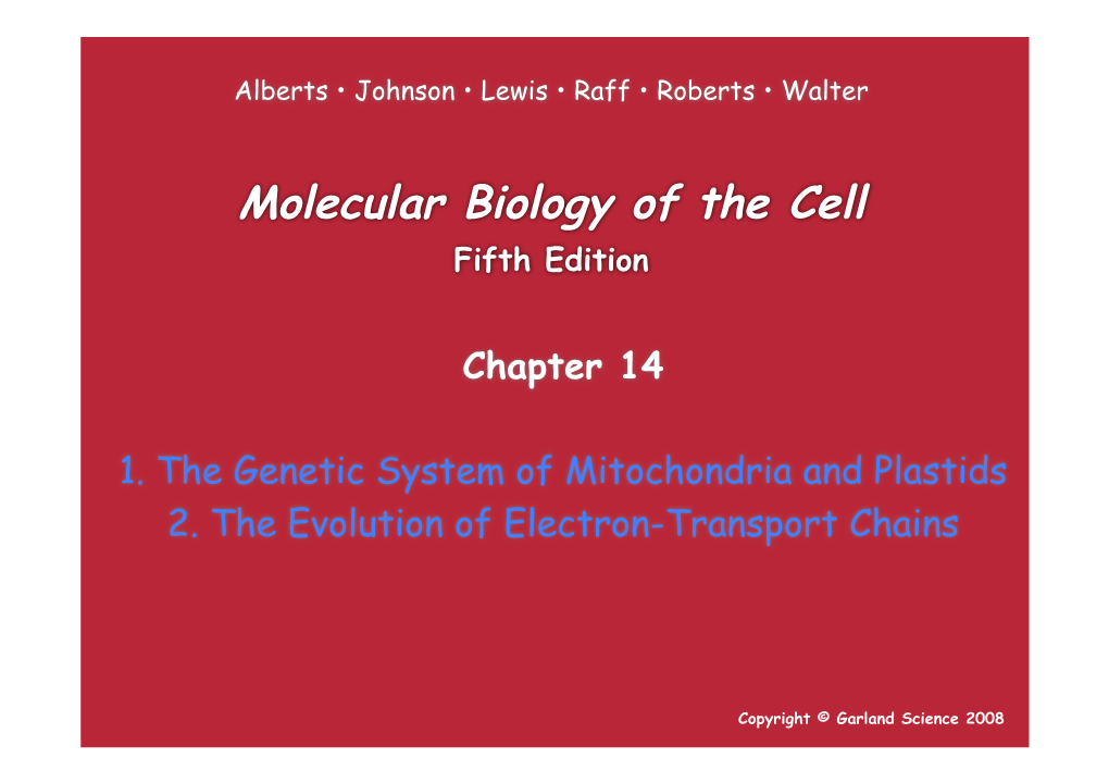 Mitochondria Chapter