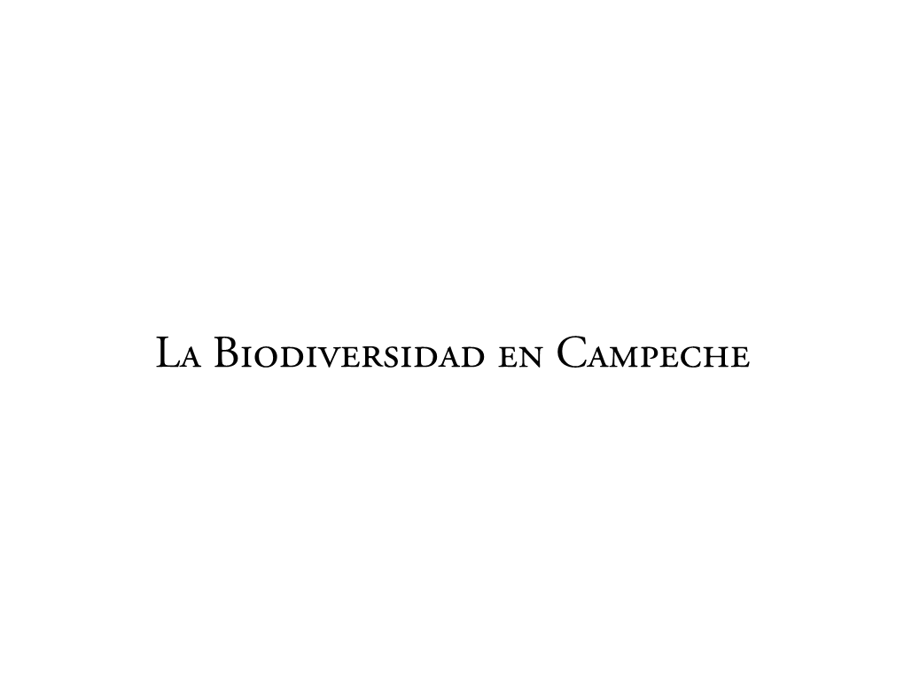 La Biodiversidad En Campeche Foto: Jorge Benítez Torres, E P O M E X -U a C La Biodiversidad En Campeche