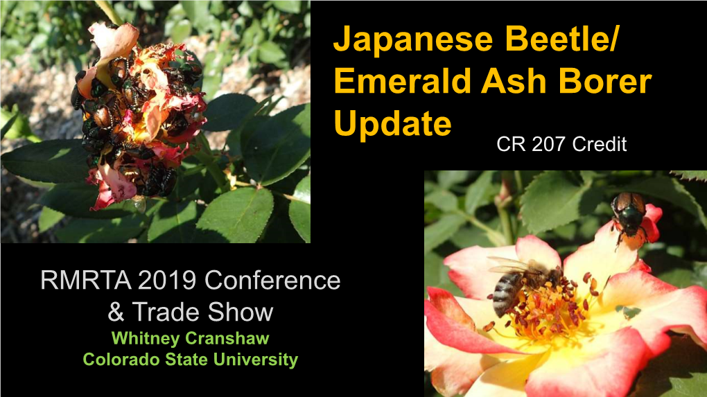 Japanese Beetle/ Emerald Ash Borer Update CR 207 Credit