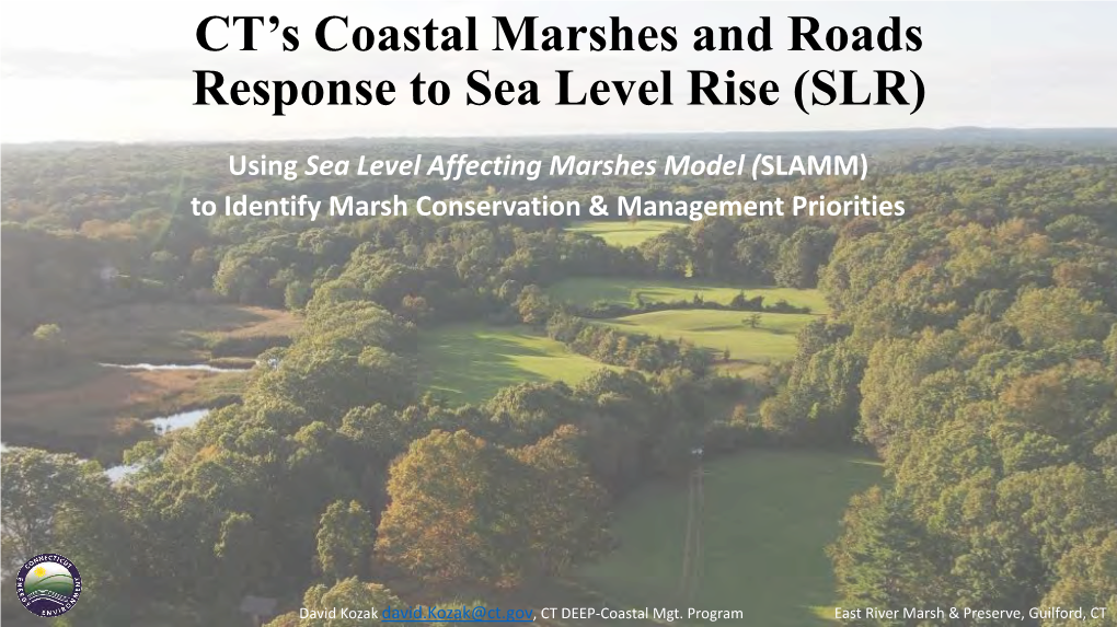 CT's Coastal Marshes and Roads Response to Sea Level Rise (SLR)