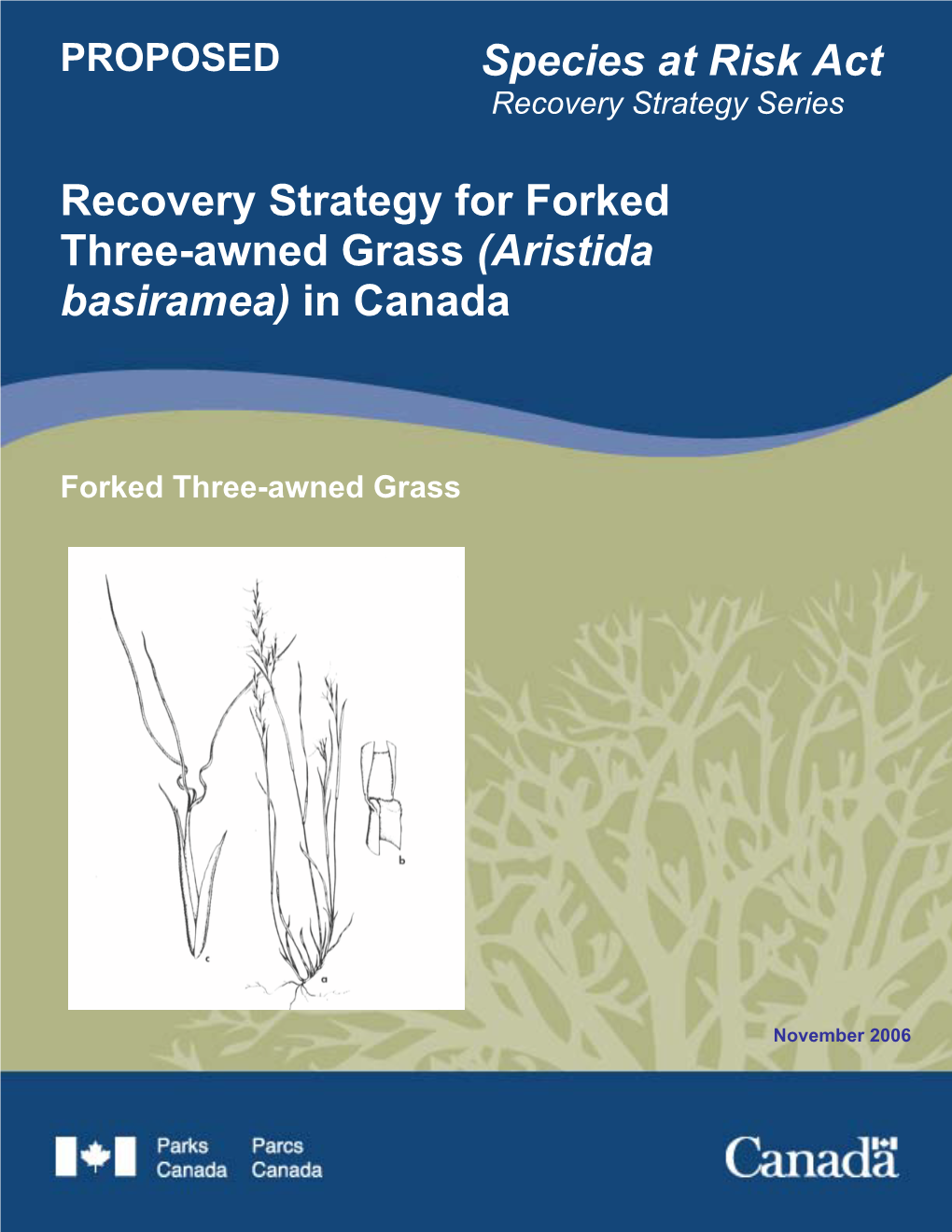 Proposed Recovery Strategy for Forked Three-Awned Grass