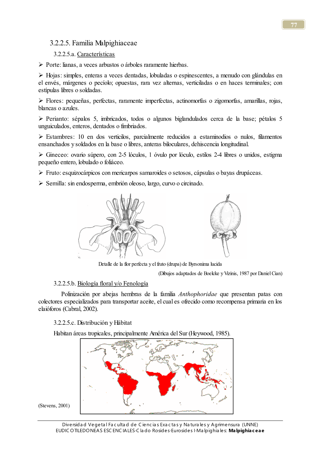 3.2.2.5. Familia Malpighiaceae 3.2.2.5.A