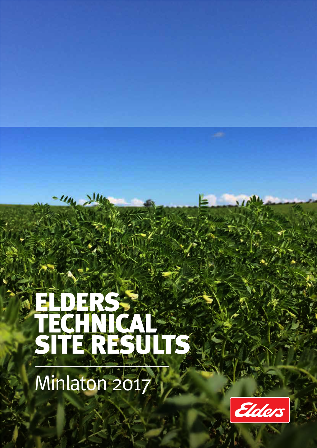 Elders Technical Site Results