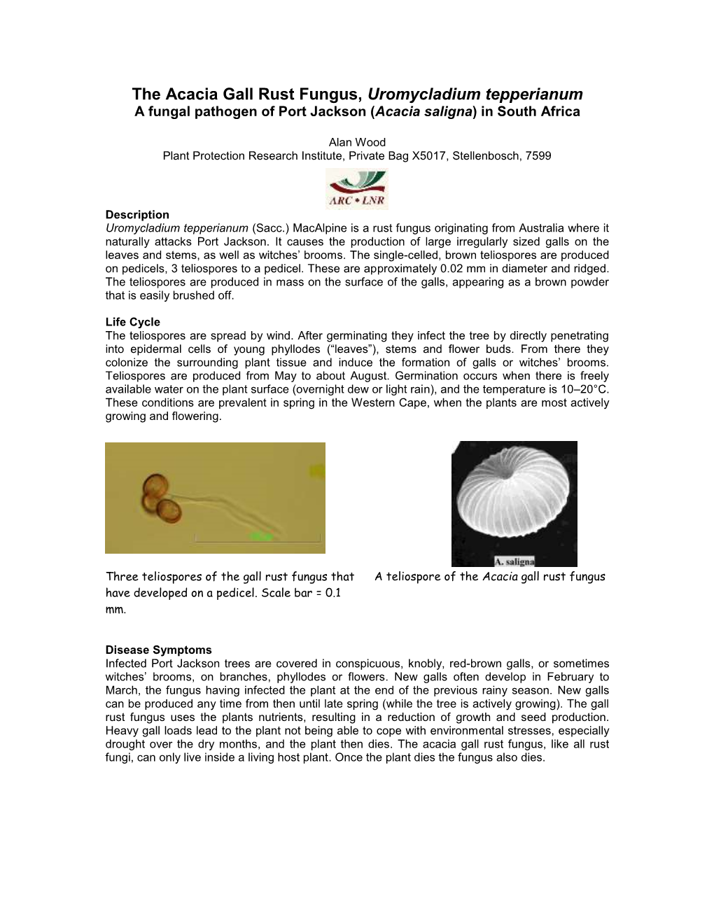 The Acacia Gall Rust Fungus, Uromycladium Tepperianum a Fungal Pathogen of Port Jackson (Acacia Saligna) in South Africa