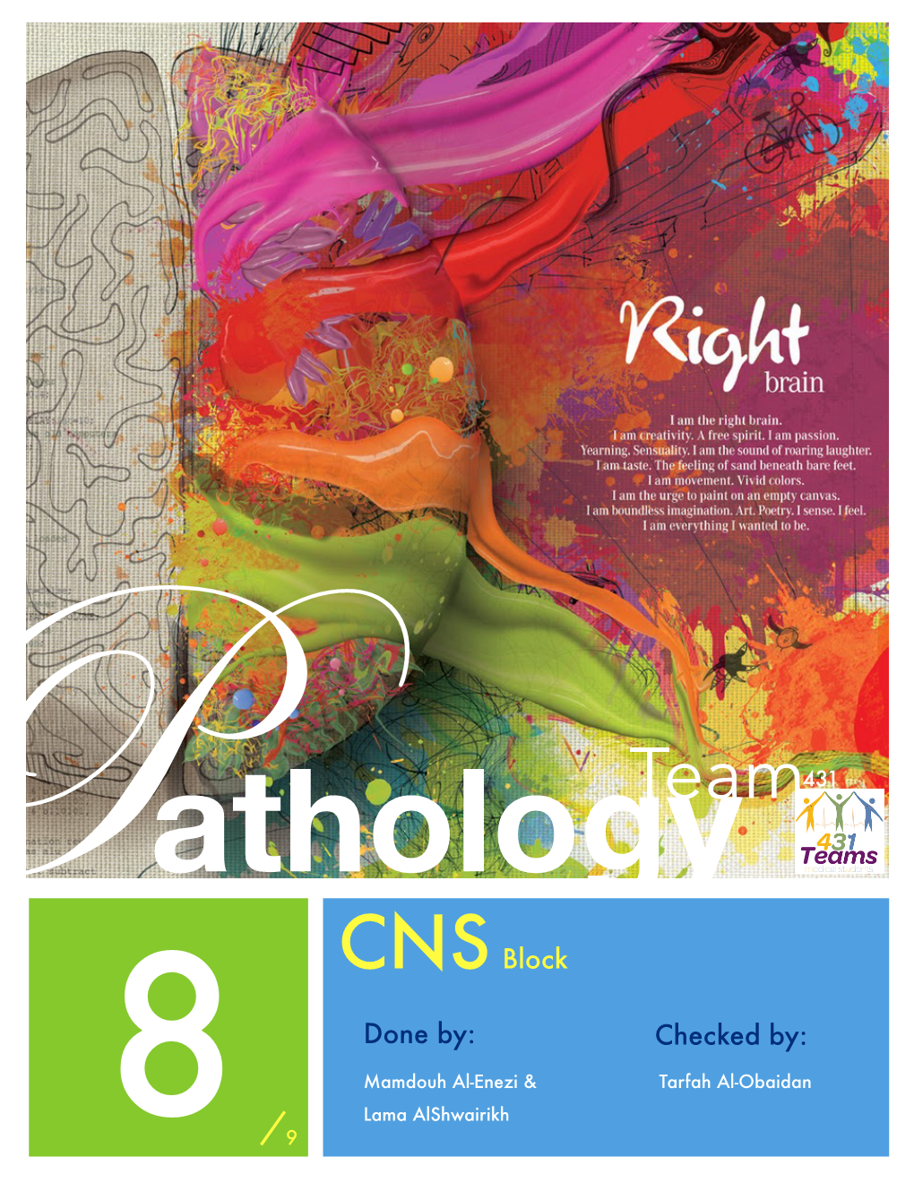 Spina Bifida, Anencephaly and Encephalocele