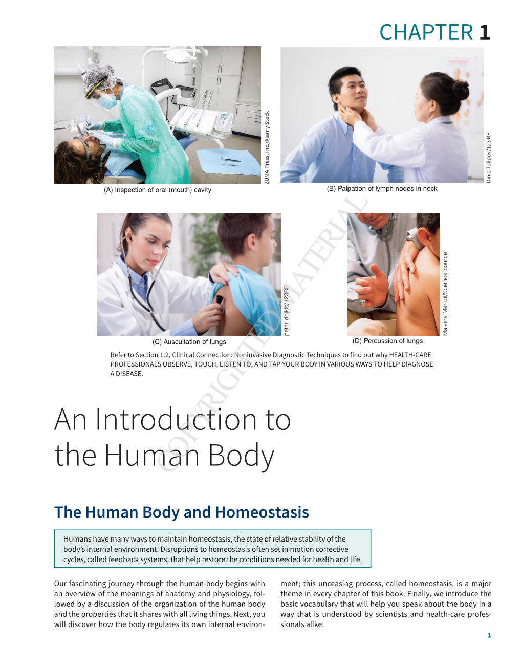 An Introduction to the Human Body