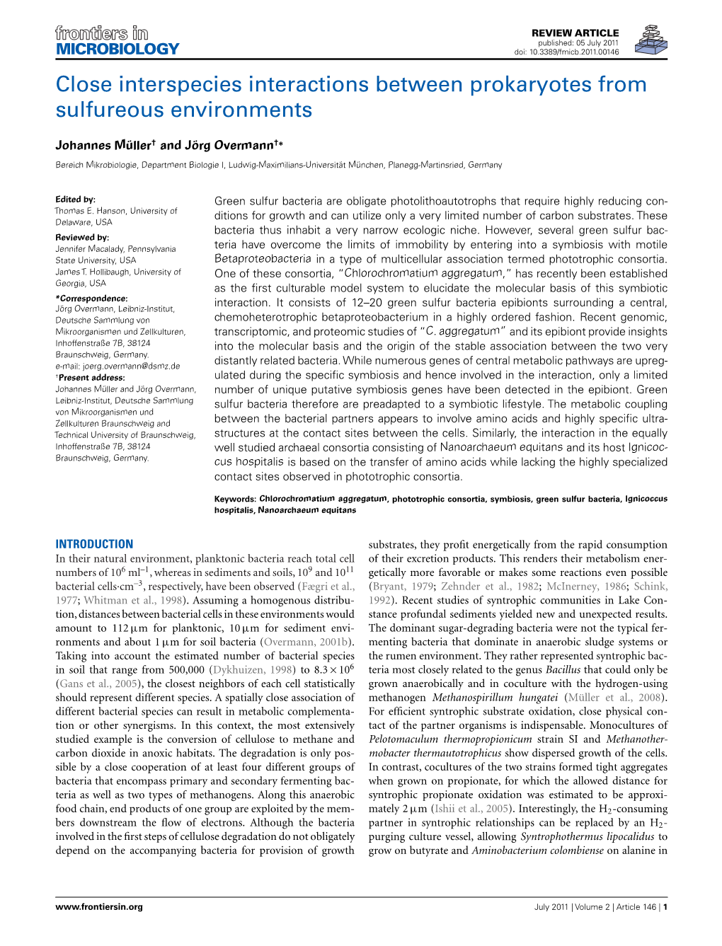 Close Interspecies Interactions Between Prokaryotes from Sulfureous Environments